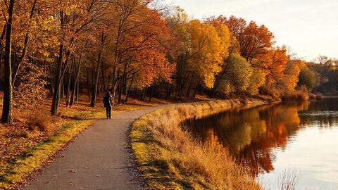 Father Hennepin Bluff Stewardship