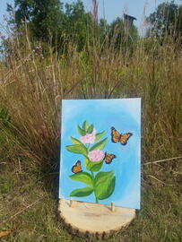 Paint by Nature: Butterflies