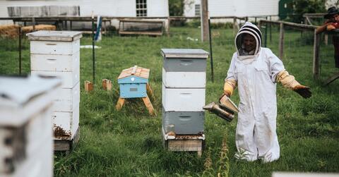 Intro to Beekeeping