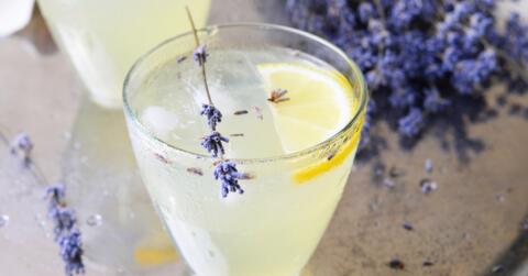Wild Cocktails (West St. Paul)