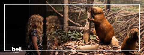 Beavers and Botanicals