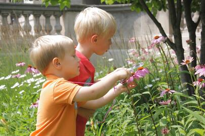 Kids at the Castle: Nature Explorers