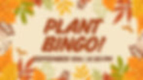 Plant Bingo!!