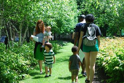Kids at the Castle: Nature Explorers