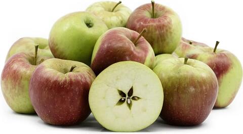 Keepsake Apple Season