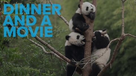 Dinner and a Movie: Pandas