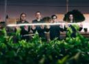 WEEZER: The Gathering