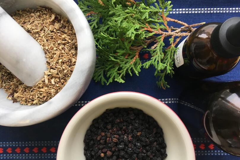 Nordic Herbals for Winter Workshop with Gigi Risberg Stafne
