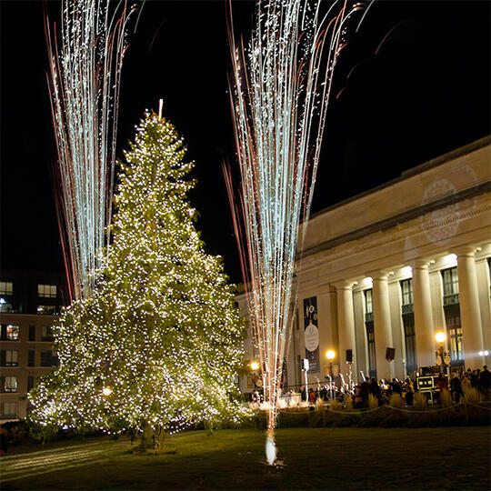 Holiday Tree Lighting & Movie Night