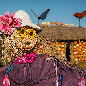 Scarecrows, Pumpkins and Harvest Fun
