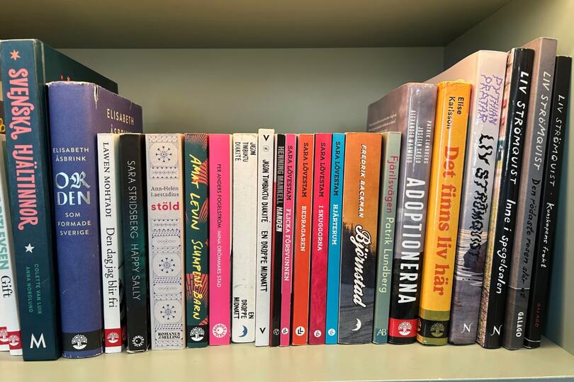 Keep Reading Swedish: Kanotklubben (lättläst) – Gunn Edberg-Caldwell
