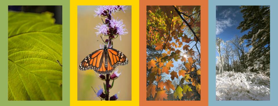 A Dance of Seasons: Opening Weekend Celebration