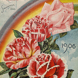 Raindrops on Roses: A Few of Our Favorite Things