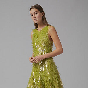 Algae Sequins: Luxury, Innovation, and Regenerative Design