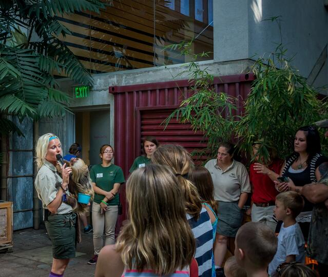 Zookeeper Talk