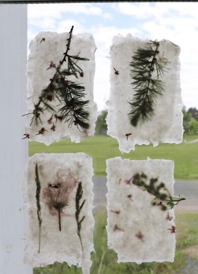 Foraged Fibers: Winter