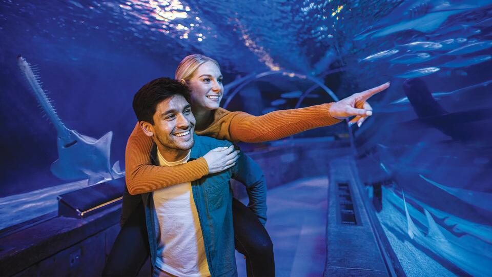 Annual Pass Holder Exclusive Holiday Photoshoot