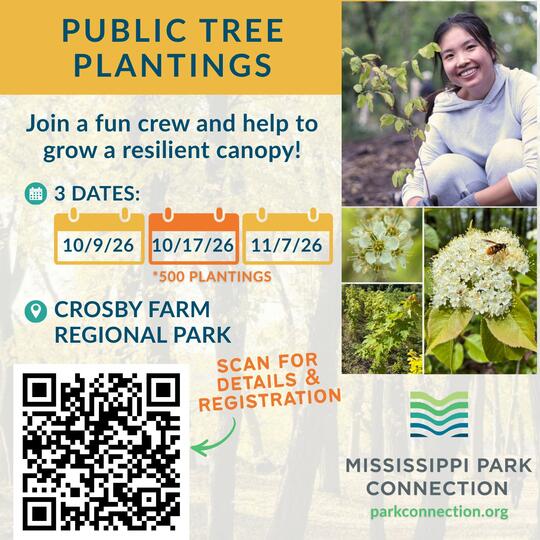 Public Tree Planting