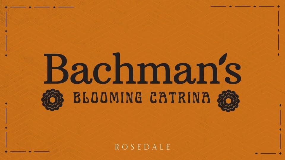 Bachman’s Blooming Catrina at Rosedale