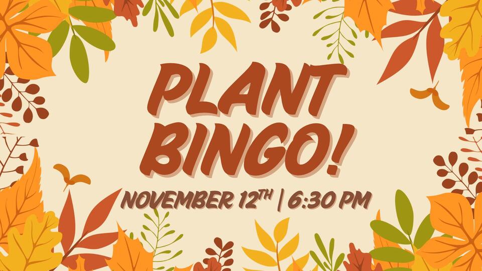 Plant Bingo!!