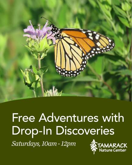 FREE Drop-in Discovery at Tamarack Nature Center
