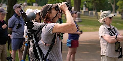 June Morning Birding at Lakewood
