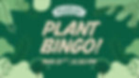 Plant Bingo!!