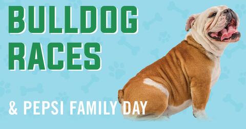 Bulldog Races