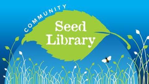 Seed Sorting Circle