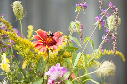 Lyndale Garden Tour